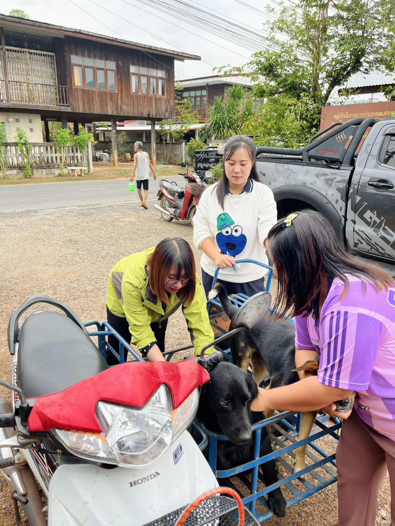 ลงพื้นที่ฉีดวัคซีนพิษสุนัขบ้า ตามโครงการขับเคลื่อนโครงการสัตว์ปลอดโรค คนปลอดภัยจากโรคพิษสุนัขบ้า 